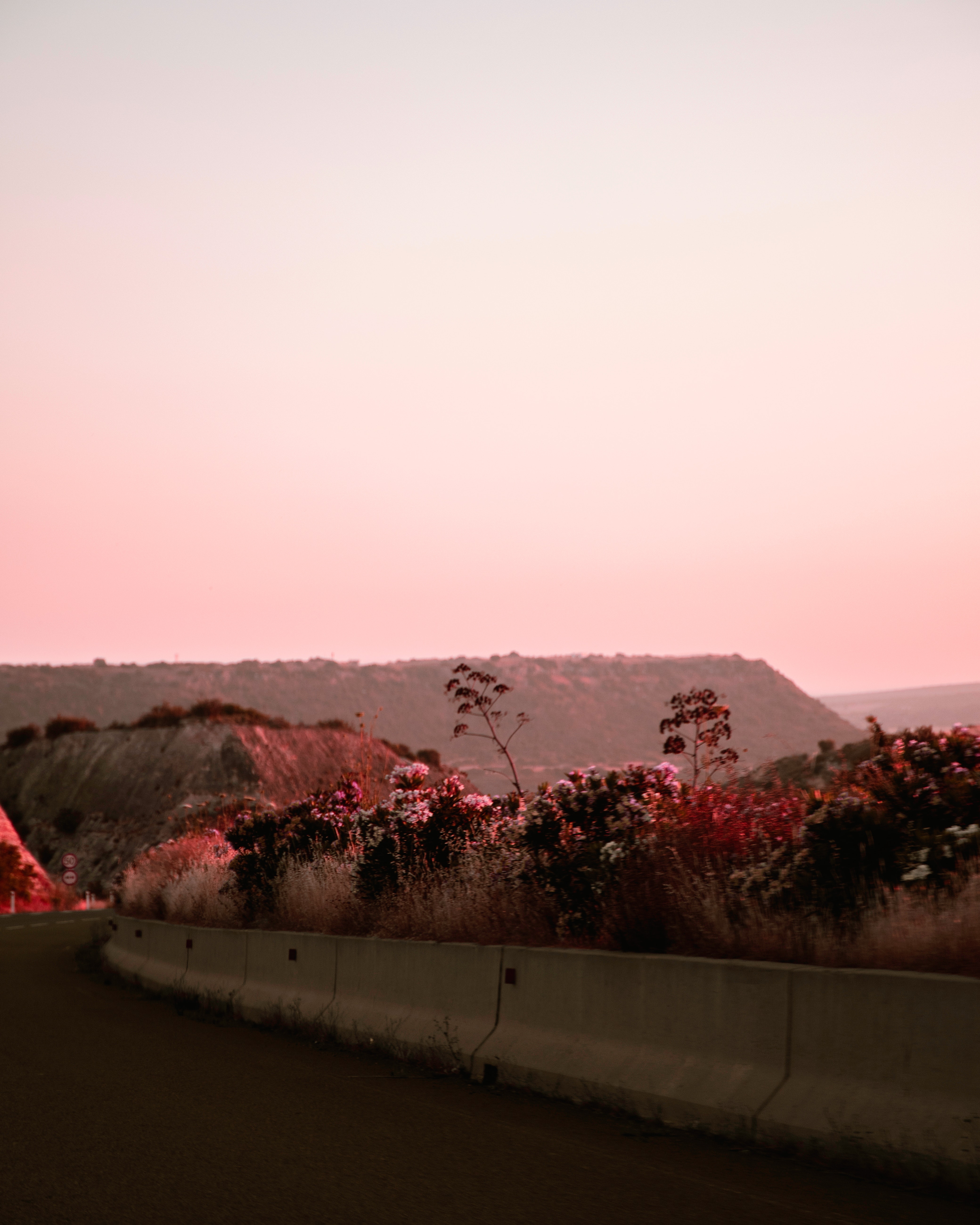 pink