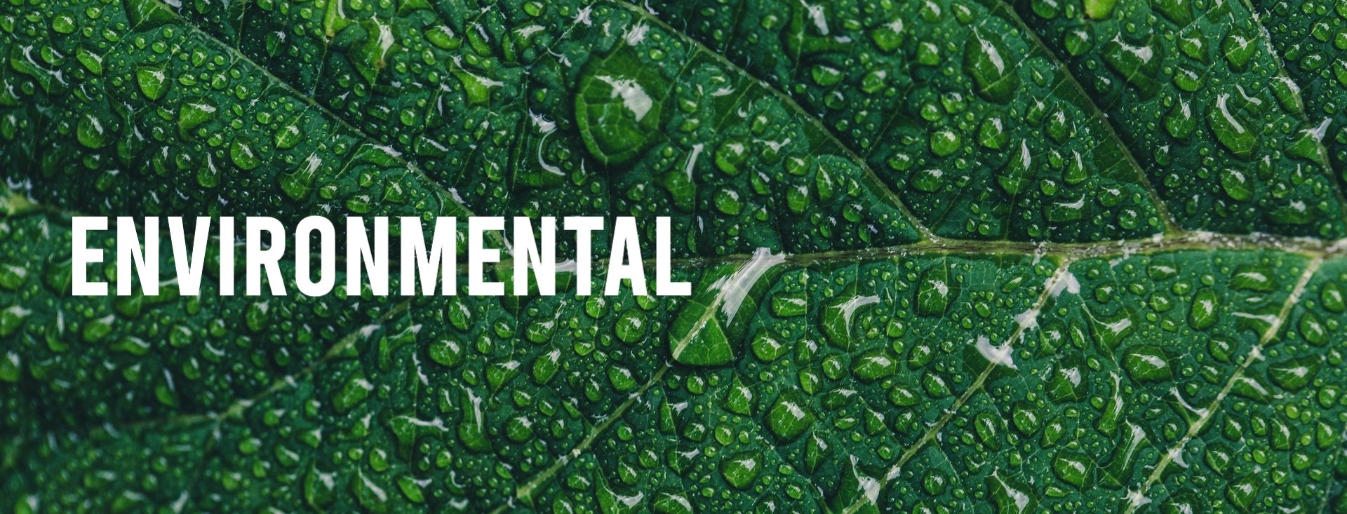 Environmental Banner